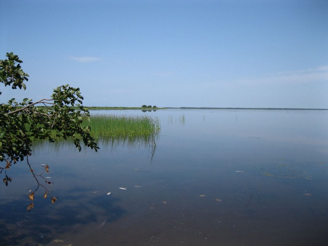 Озеро невское приозерский район