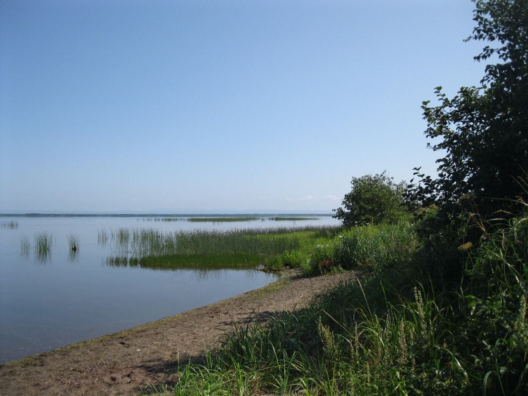 Озеро невское приозерский район