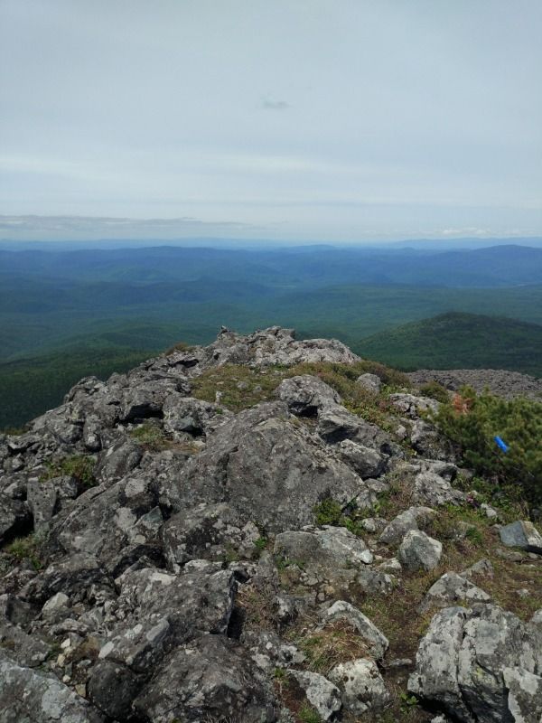 Голец в горах