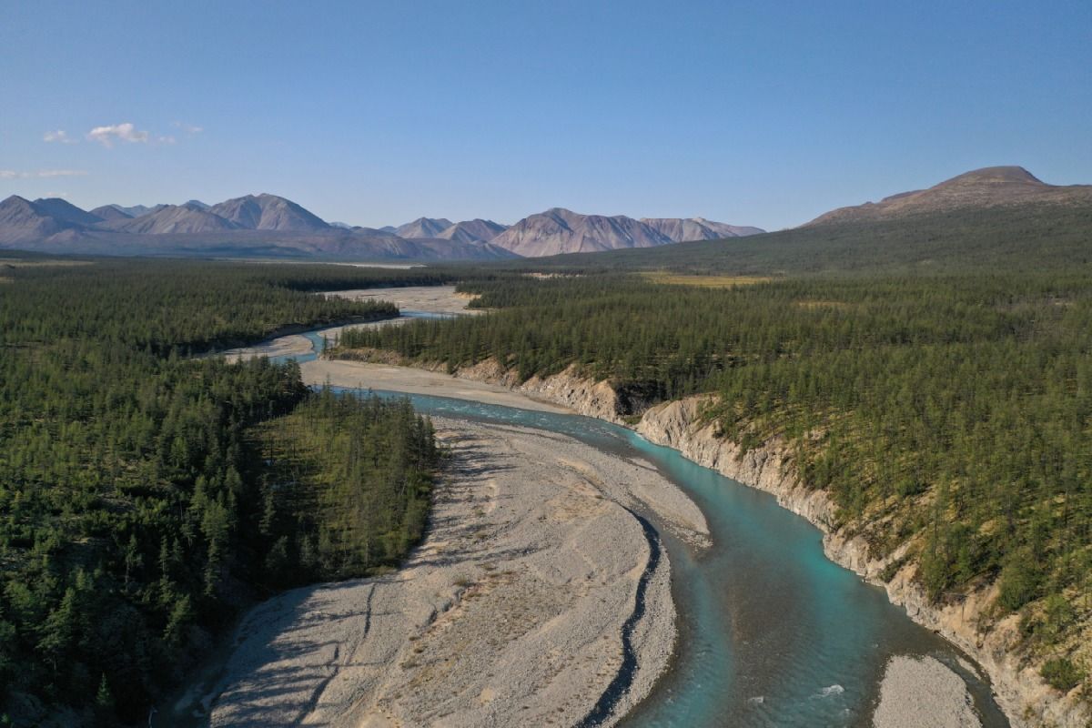 Кутын хабаровский край фото