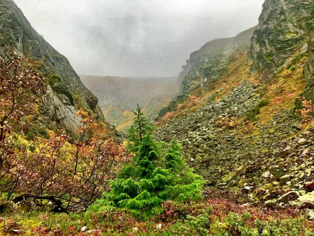 Фотографии с места/маршрута Криптограммовое ущелье