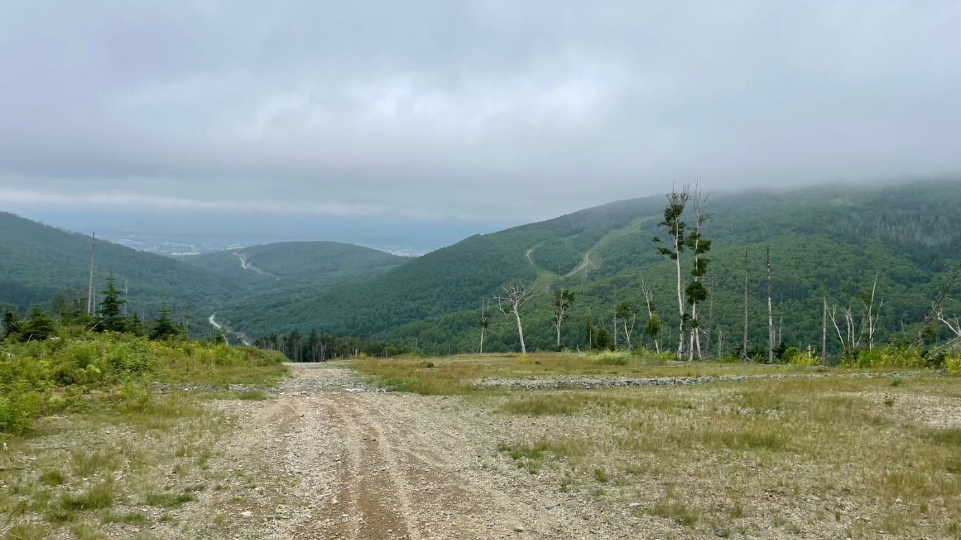 Эко-тропа Кедровая, Горный Воздух Сахалин. Маршрут, карта с треком ...
